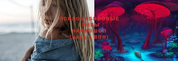 молекула духа Алзамай
