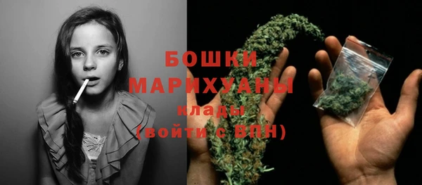 твердый Горнозаводск