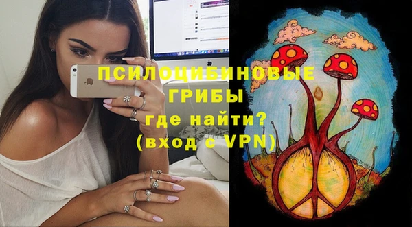 молекула духа Алзамай
