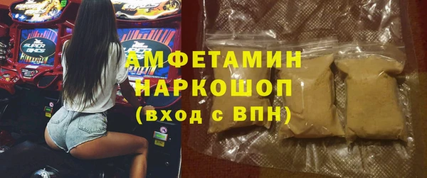 шишки Алексин