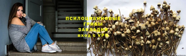 гидропоника Горняк