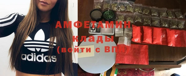 шишки Алексин
